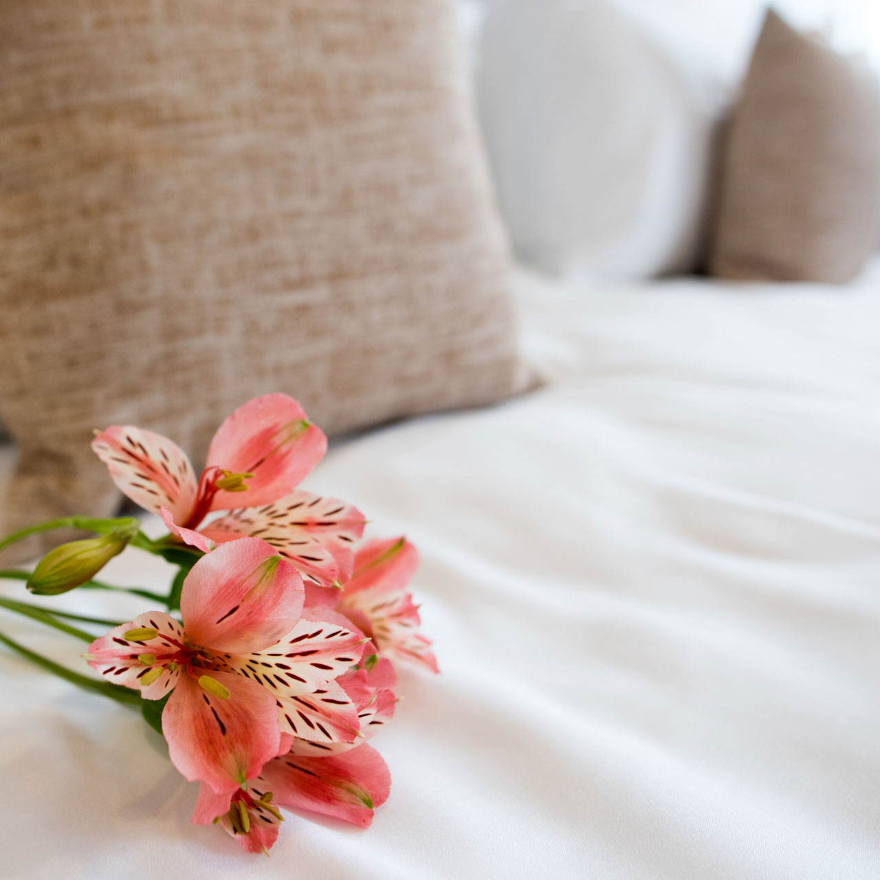 Hotel Triple Sheeting Technique