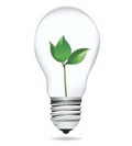 lightbulb