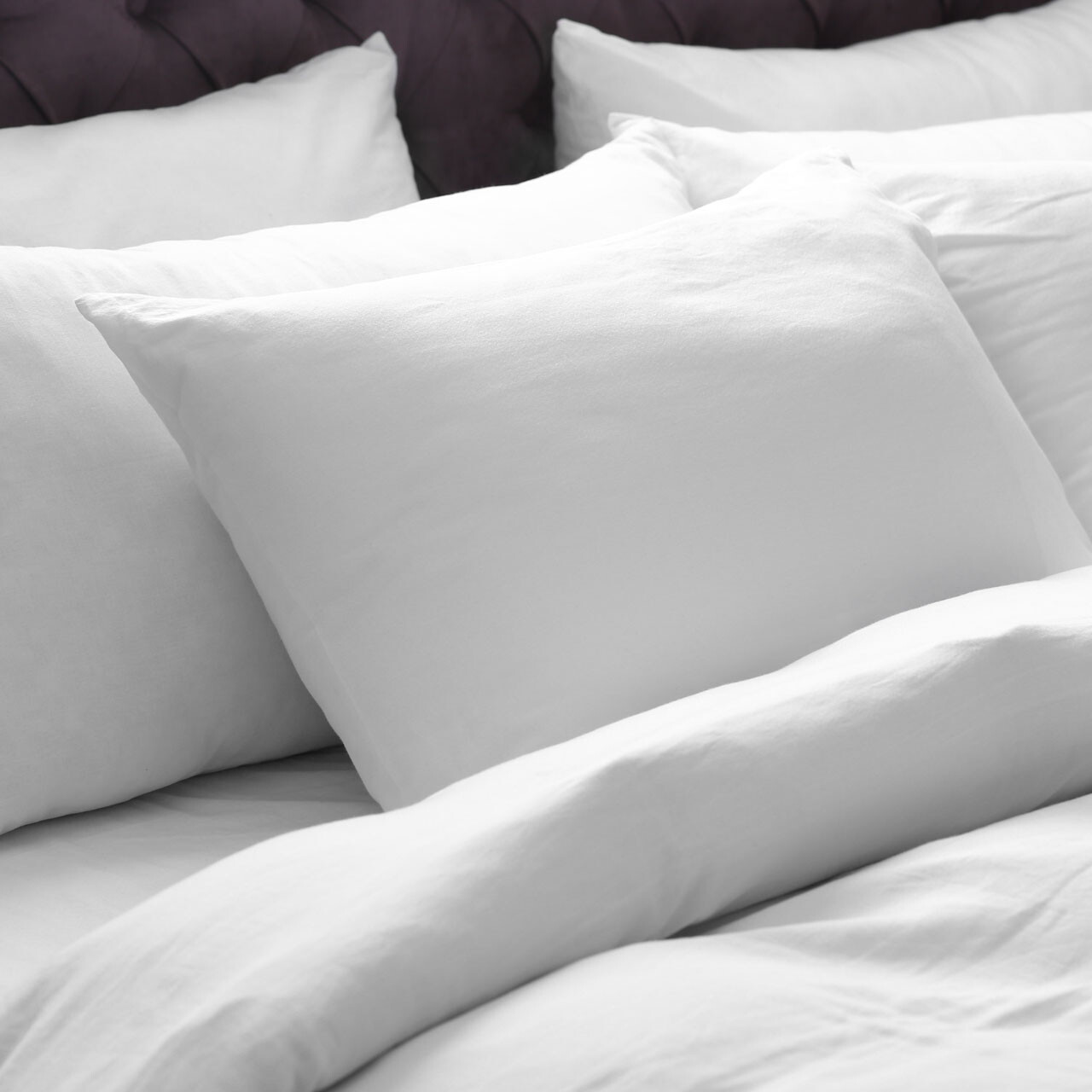 LodgMate Standard Hollowcore Pillows